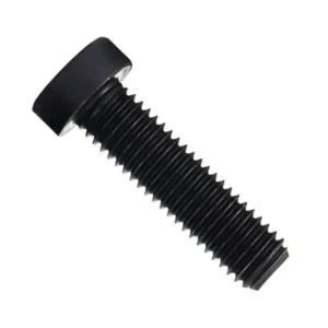 DIN 7984 Low Head Socket Cap Screws