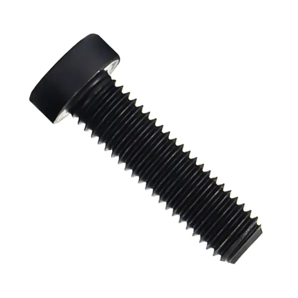 DIN 7984 Low Head Socket Cap Screws