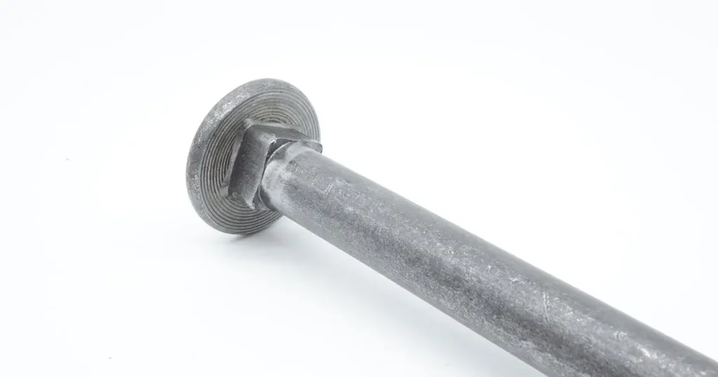Close-up detail of carriage bolt head showing round head and square neck feature preventing rotation during timber fastening