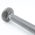 Close-up detail of carriage bolt head showing round head and square neck feature preventing rotation during timber fastening